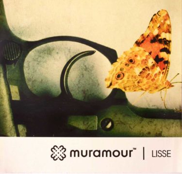 muramour lisse 375x358 Printed Posters    Image of muramour lisse 375x358