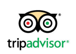 tripadvisor Social media review sticker    Image of tripadvisor